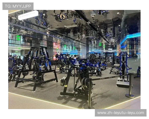 增肌健身器材盘点及体育训练效果分析